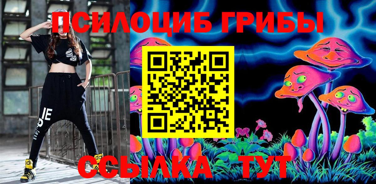 Галлюциногенные грибы MAGIC MUSHROOMS Богородицк