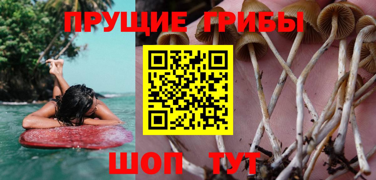 Псилоцибиновые грибы Psilocybe  Галлюциногенные грибы мицелий  Вход с VPN  Богородицк 